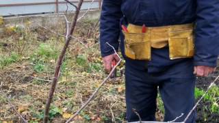 Урок 5.Потрясающий
урок обрезки сада.
Весна, лето , осень.
ПОДПИШИСЬ!
