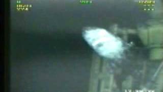 Giant Shark Gulf of Mexico Oil Rig caught on rigs cameras