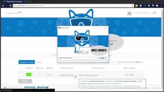 CatCut bot catcut net бот 2017