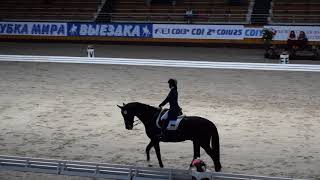 FEI CDIY Freestyle. Чердак Анастасия и Сир Блэк (Украина)