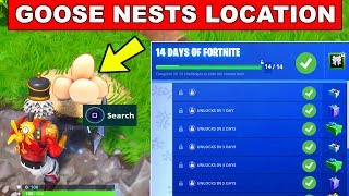 Day 6 REWARD - Search Waterside Goose Nests - 14 Days of Fortnite Challenges for Free Rewards