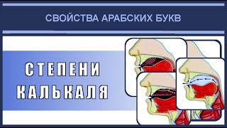 Айман Сувейд. 13. Свойства: КАЛЬКАЛЯ (степени) (с субтитрами на русском)