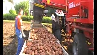 Выращивание картофеля в Норвегии. Technology of growing potatoes