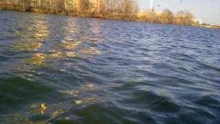 Fishing Braunig Lake