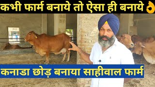 कनैडा छोड़ बनाया देसी साहीवाल गाय डेयरी फार्म|How To Start Desi Sahiwal cow Dairy Farm in india