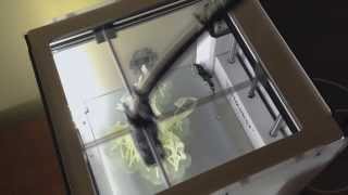 Ultimaker 2: 3D Printing a Dragon