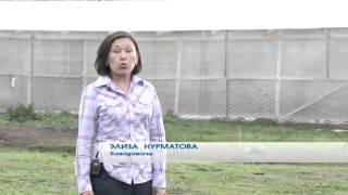 Программа "КАРАГАТ+"