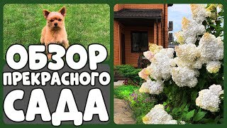 НА ЭТО СТОИТ ВЗГЛЯНУТЬ! Райский сад Людмилы Кудасовой ?