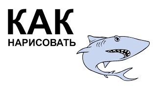 Картинки акулы. КАК НАРИСОВАТЬ АКУЛУ поэтапно карандашом