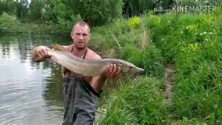 Спустили платный пруд ? Море рыбы