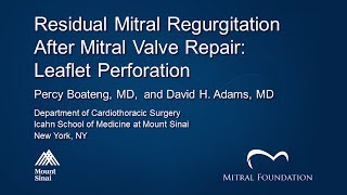 Residual Mitral Regurgitation After Mitral Valve Repair: Leaflet Perforation
