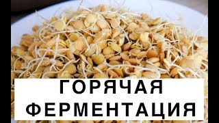 Горячая ферментация, зачем и как это делать