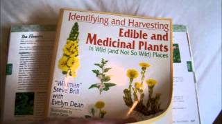 How To Identify Wild Edible And Toxic Plants