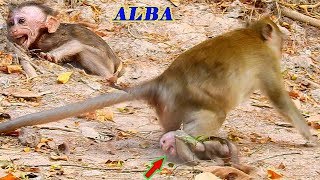 MISERABLE LIFE OF SKINNY ALBA, POOR TINY ALBA GOT TORTURE BY ANNA TILL EATING SOIL