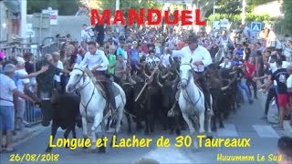 MANDUEL-Echappee Longue-Bandido 30 Taureaux-26/08/2018-A.Chapelle