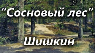 Сосновый лес, Шишкин ОБЗОРЫ КАРТИН