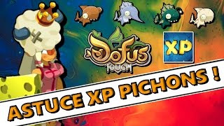 [Dofus Touch] ASTUCE XP LVL 20-70 TRÉS RAPIDE !