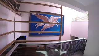 Обзор отеля Pegasus Club Турция
