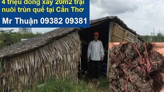 Xây 20m2 trại nuôi trùn quế chi phí cực rẻ chỉ có 4 triệu đồng