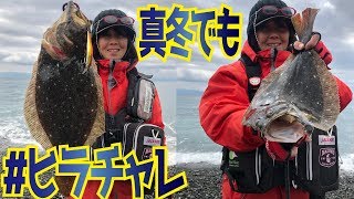 遠投しなくてもヒラメは釣れる!!真冬のサーフに通い込む。【ショアジギング】