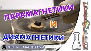 Парамагнетики, диамагнетики и неодимовый магнит/Paramagnetic and diamagnetic