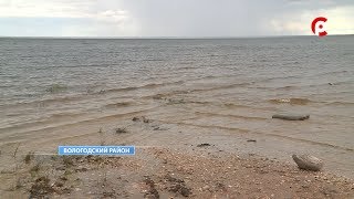 В Вологде почтили память погибшей студентки