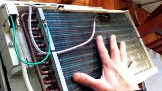 nasty black mold spores ? in window air conditioner