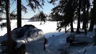Что интересного в Монрепо. Парк Монрепо, Выборг (31.03.2018)