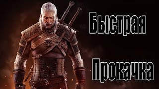 Быстрая прокачка уровня в ведьмаке 3