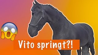 KAN VITO SPRINGEN? + belangrijk nieuws!! PaardenpraatTV