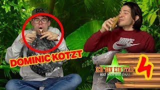 #IBES Dschungelcamp 2018 Recap Tag 4! Holt mich hier raus!