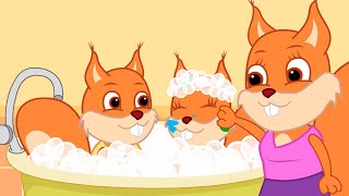 Famille d'Écureuil - Une Soirée Mousse Vidéos Animé 2021 en Français 13+
