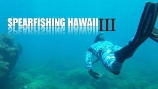 Spearfishing Hawaii 3 HD