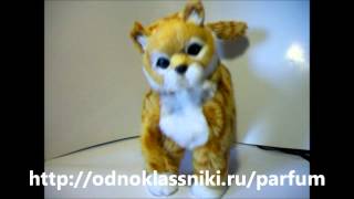 Кот Васька, танцует и поёт