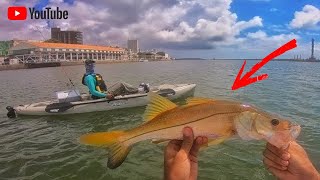 A TEMPORADA COMEÇOU NA BOCA DA BARRA DO RECIFE, MARCO ZERO - Pescaria de Caiaque!