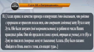 Перевод суры ат-Тахрим на русский язык с чтением Машари бин Рашида аль-Афаси