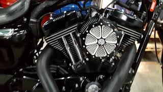 Как Вам ЗВУК глушителей ARLEN NESS на мотоцикле Harley Davidson Sportster 1200