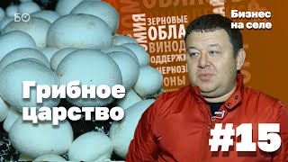 Бизнес на селе #15. Царство грибов в Лаишевском районе