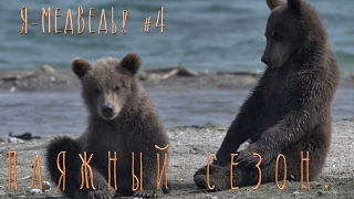 Пляжный сезон. Медвежата играют//Бурый медведь#4//Детям о животных//Природа для самых маленьких.
