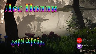 Лес Полли фарм серебра? Black Desert Online.