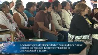 Visión Universitaria 80 UADY