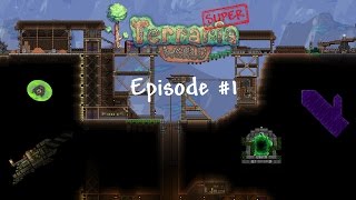 STW (Super Terraria World) #1