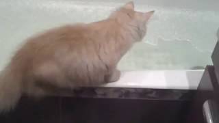 Не лезь бл%ть
