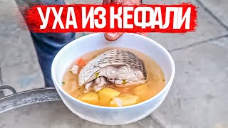 Одесса. Уха из кефали. Рассказы старого рыбака