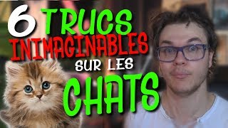 CHRIS : 6 Trucs Inimaginables Sur Les Chats