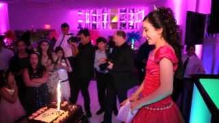 Jewish Bar Bat Mitzvah DJs MC Lights Green Screen Photo Favors Westchester NYC NJ CT DJ Jerry Laskin