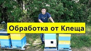 Какой оставлю корм в зиму пчелам? Скоро обработка от Клеща (Варроатоз)  Пчеловодство 2018