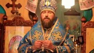 Проповедь епископа Серапиона 1 июля 2014 г пос  Шантобе Казахстан