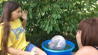 Погадали с НЕПЕТОЙ... доигрались! 1 часть СТРАШИЛКА