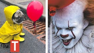 20 EPIC Pet Costume Ideas For Halloween (Pennywise from IT movie, Wonder Woman)